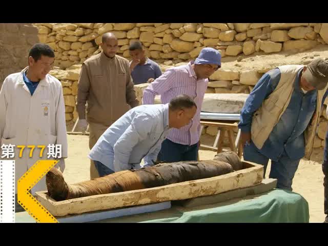 超大只猫咪木乃伊？实拍4000年前的《塞加拉陵墓》看电影了没