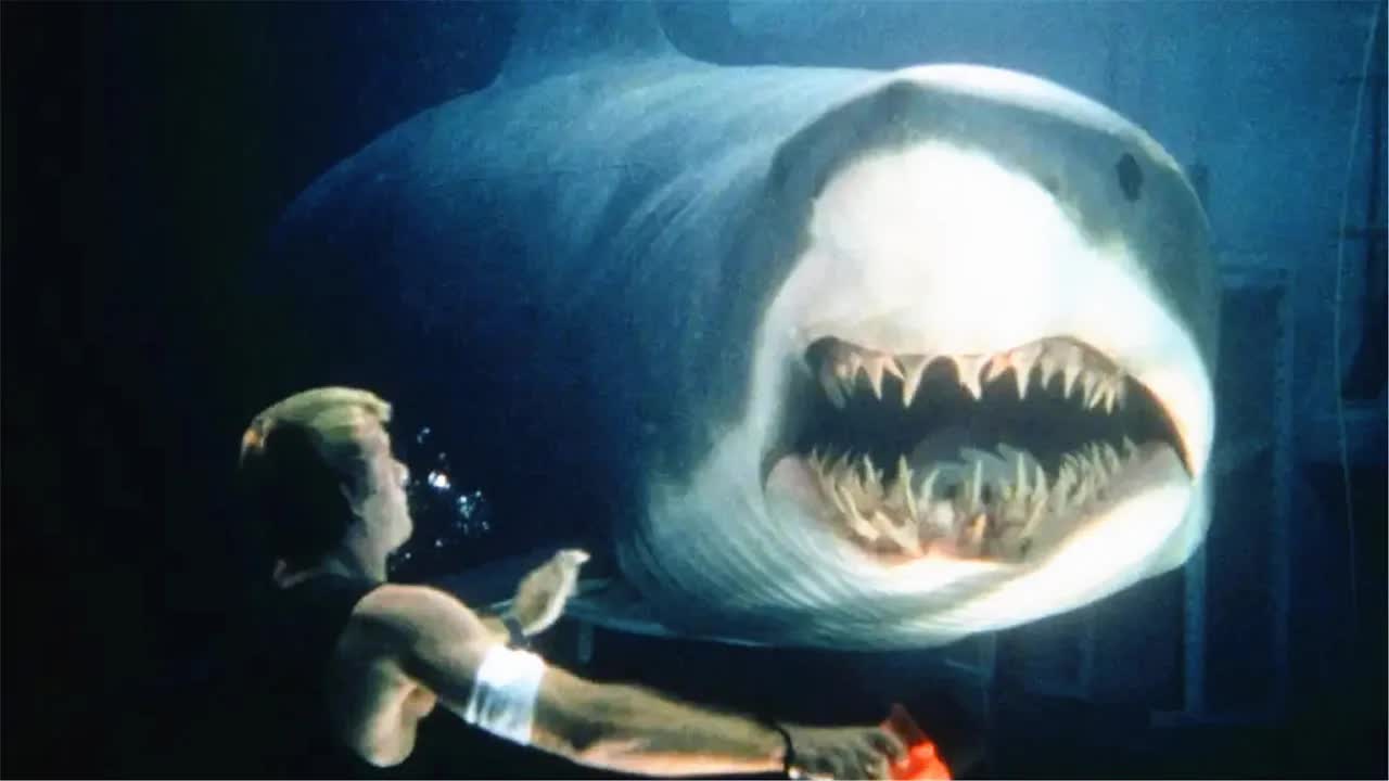 美国人用鲨鱼做生化实验，结果鲨鱼变得比人还聪明，失控后疯狂报复人类！